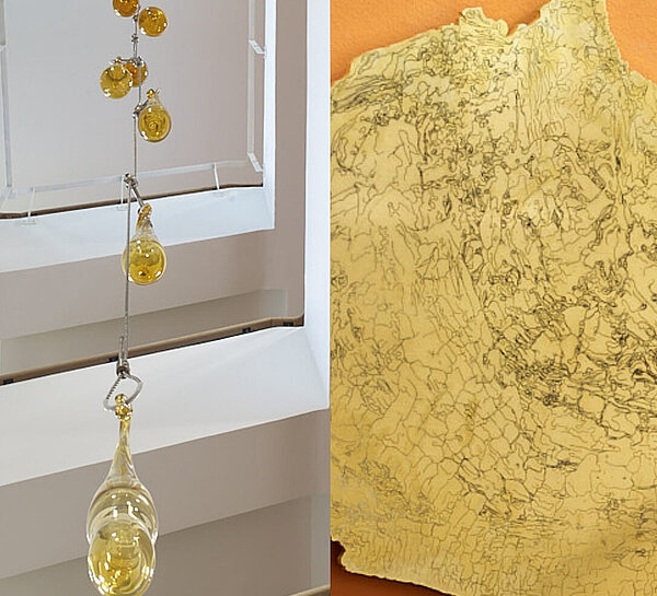 Amber - Habitat