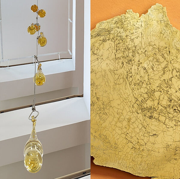 Amber - Habitat