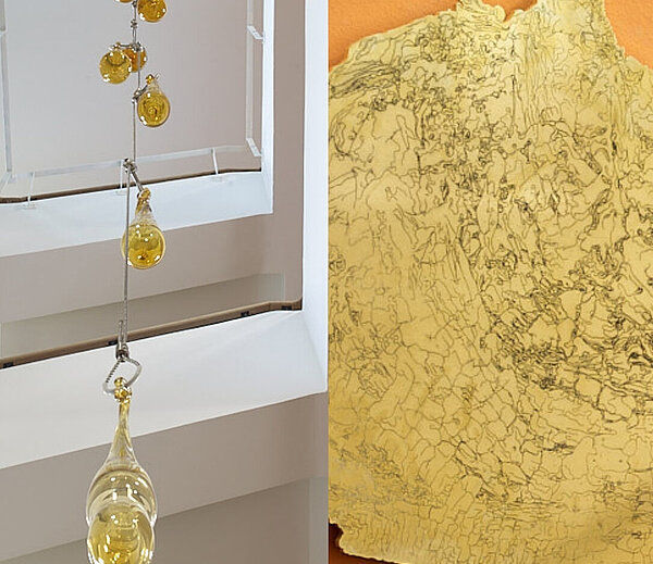 Amber - Habitat