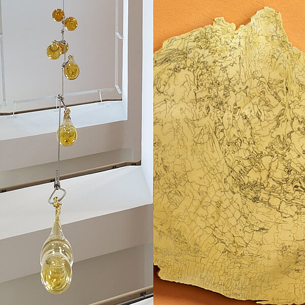 Amber - Habitat