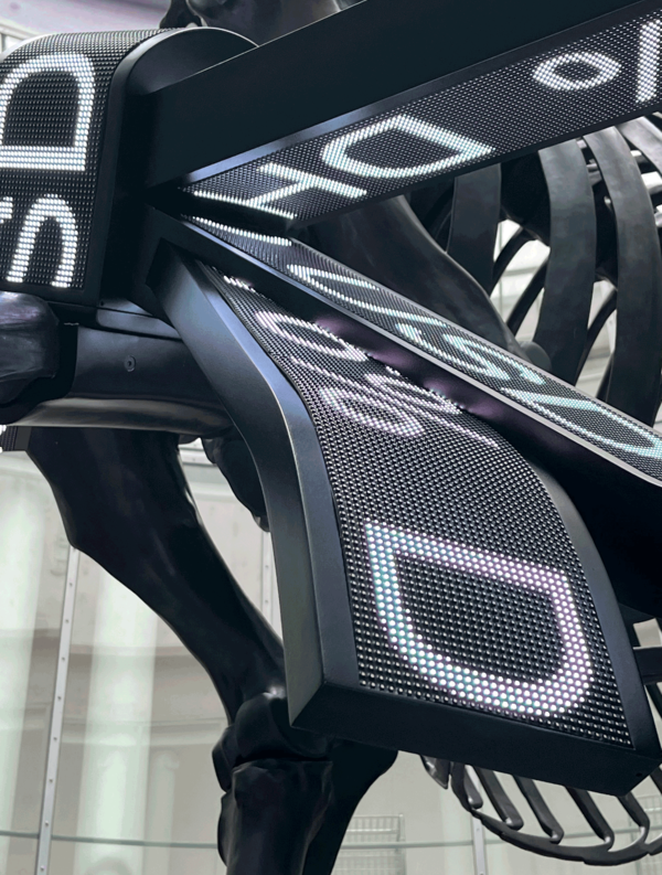 Gift Horse
